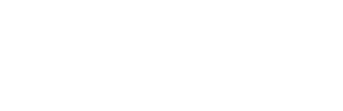 Badzinger Auto